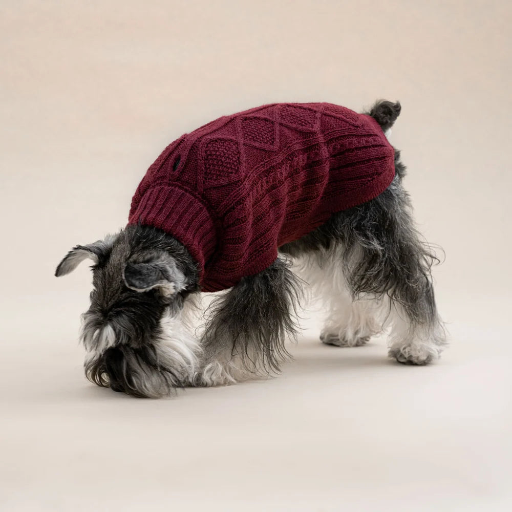 Pull en alpaga - Aran Bordeaux