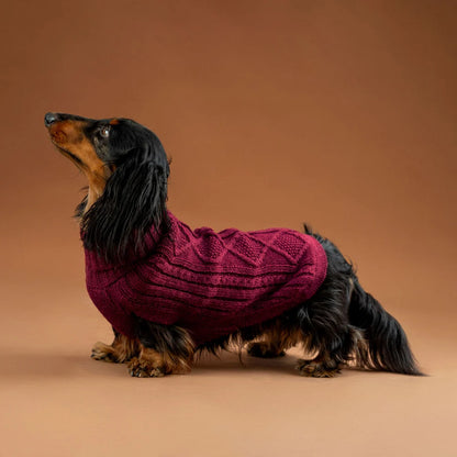 Pull en alpaga - Aran Bordeaux