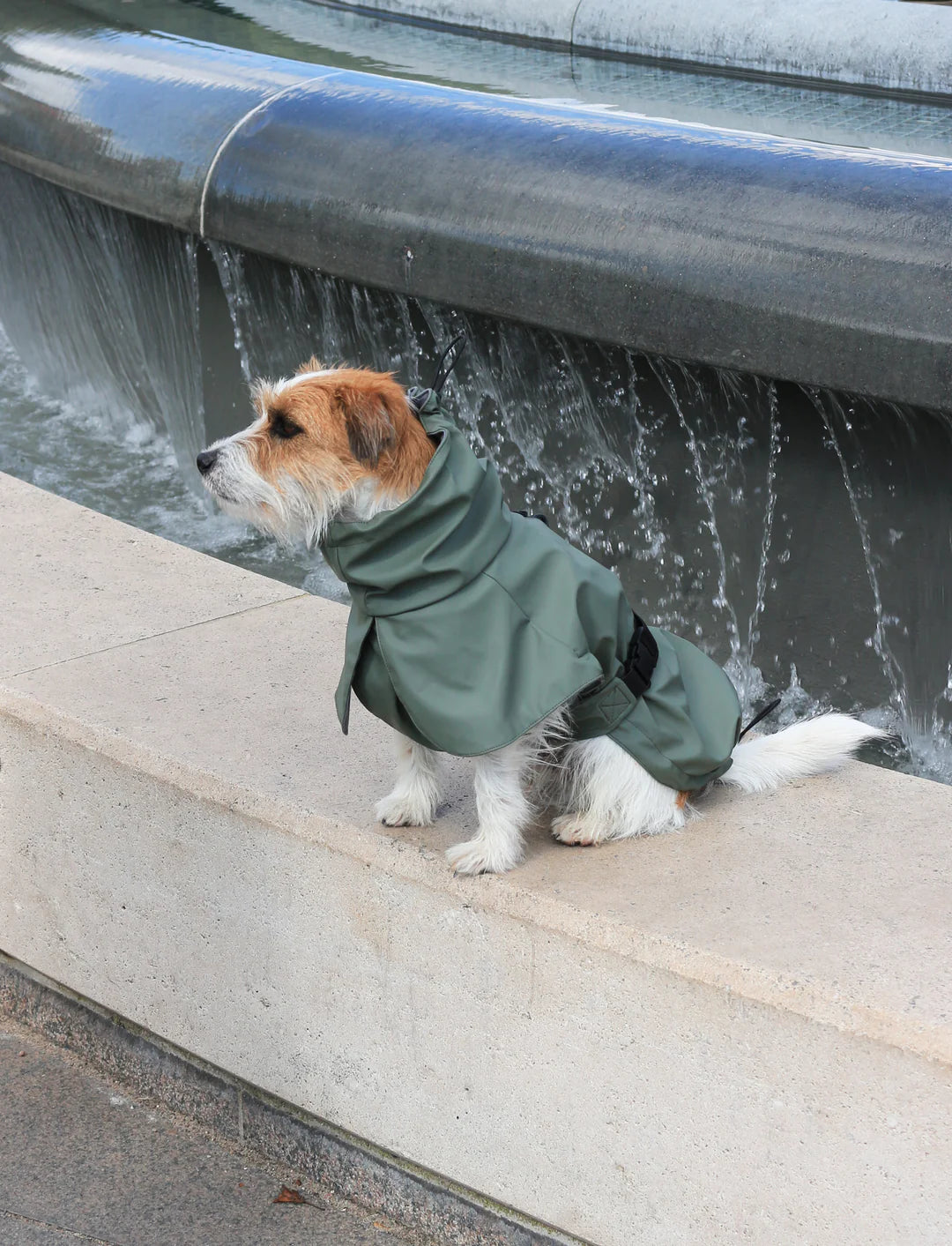 Imperméable Vert