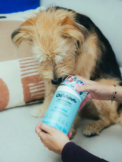 Les Bouchées Anxiété