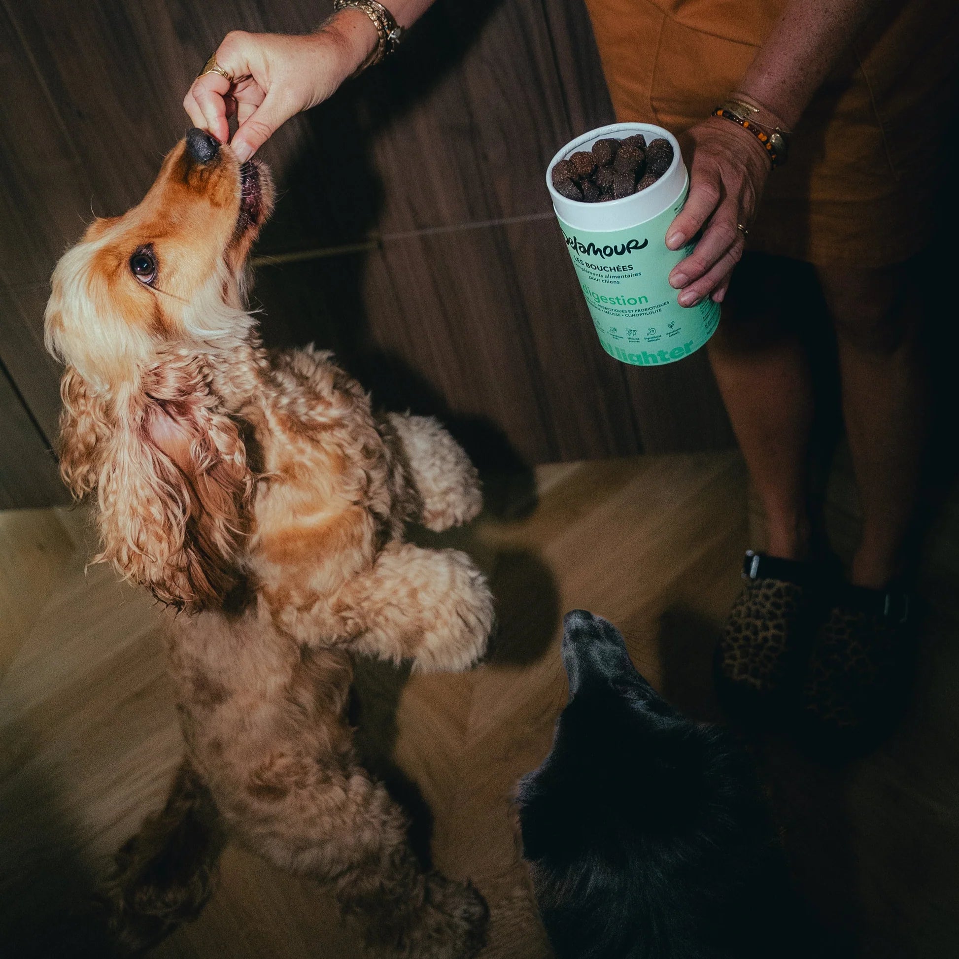 Les Bouchées Digestion