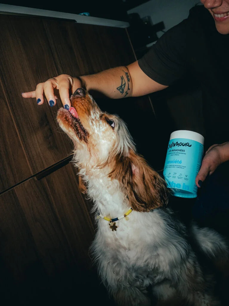 Les Bouchées Anxiété