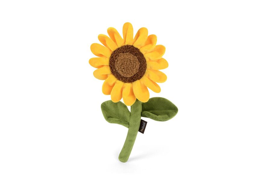 Le tournesol
