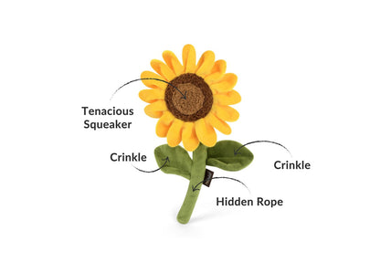 Le tournesol