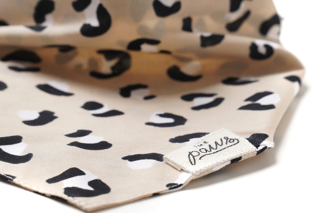 Bandana Urbain