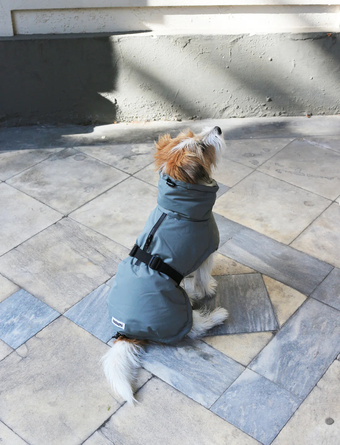 Veste d&