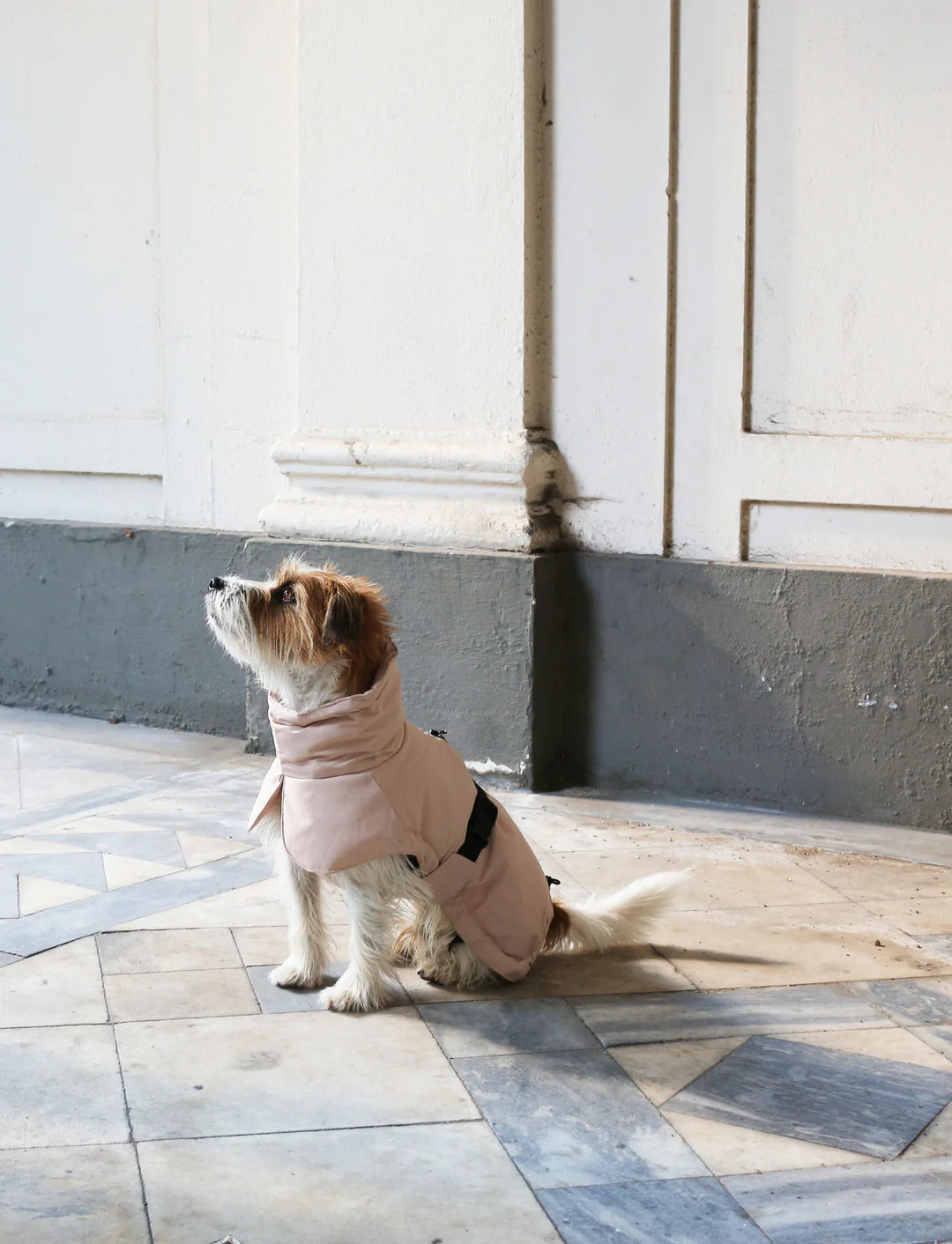 Veste d&