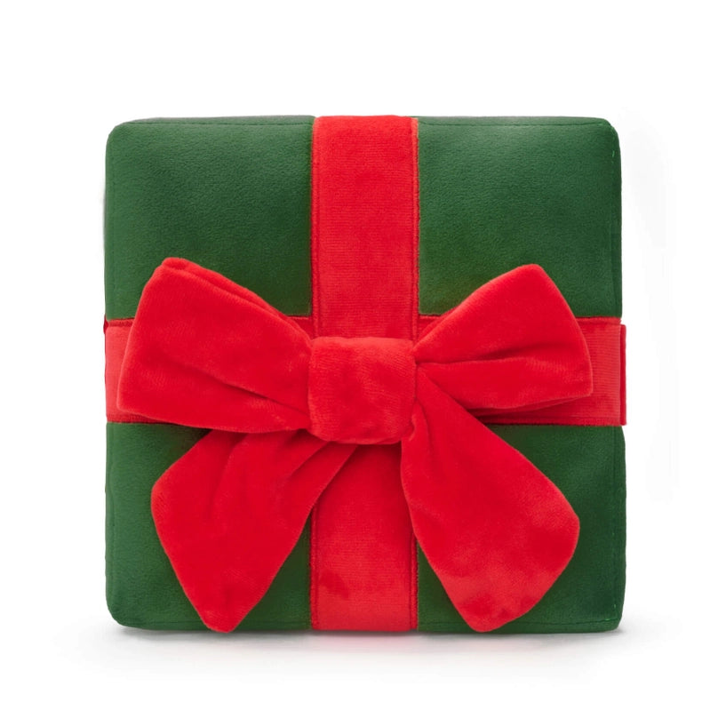 Cadeau de Noël de fouille