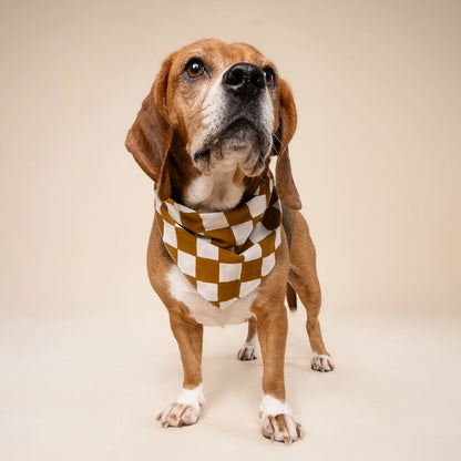 Bandana Legend - Cacao