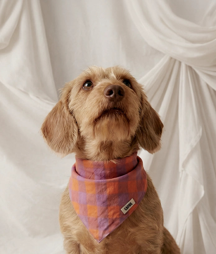 Bandana à carreaux - Rose &amp; Lila