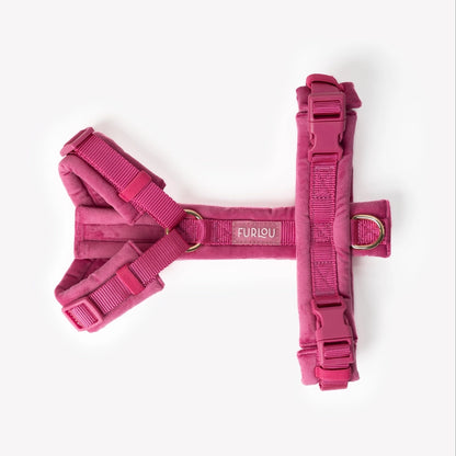 Harnais Velvet - Magenta