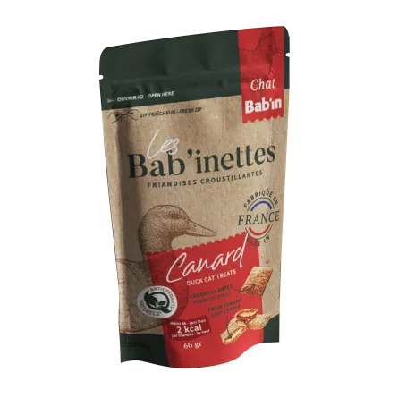 Babinettes Canard