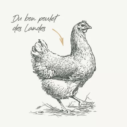 Babinettes Poulet