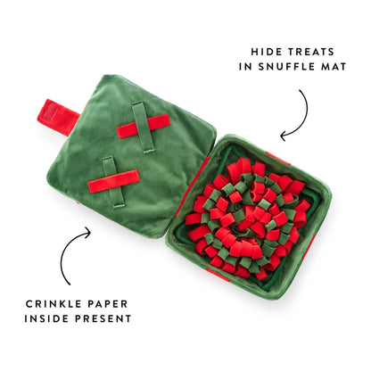 Cadeau de Noël de fouille