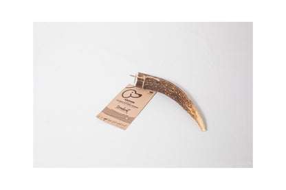 EKTOR - bois de cerf entier