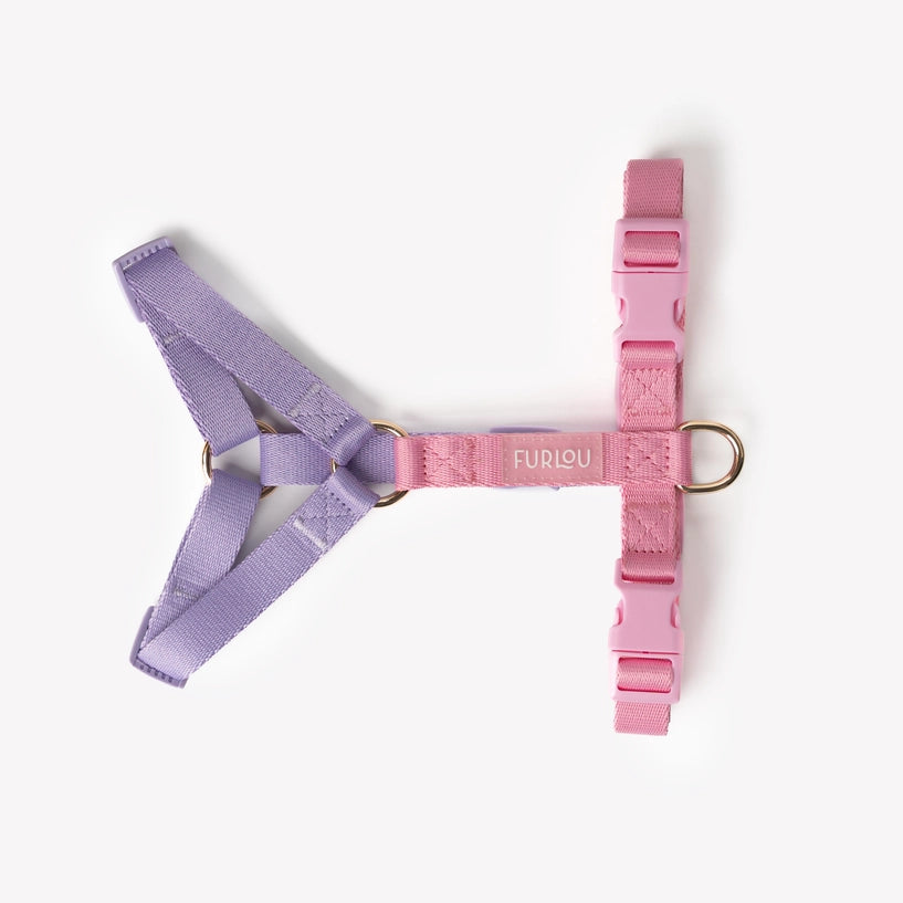 Harnais Lavender &amp; Pink