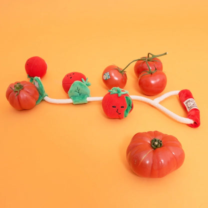 Cherry Tomato