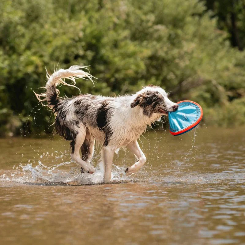 Frisbee Paraflight