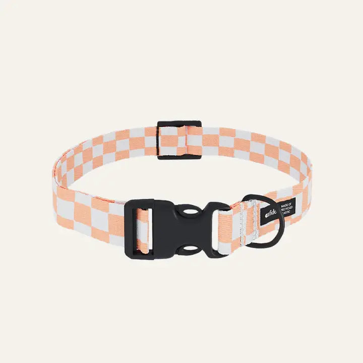 Collier Chiot - Damier Orange