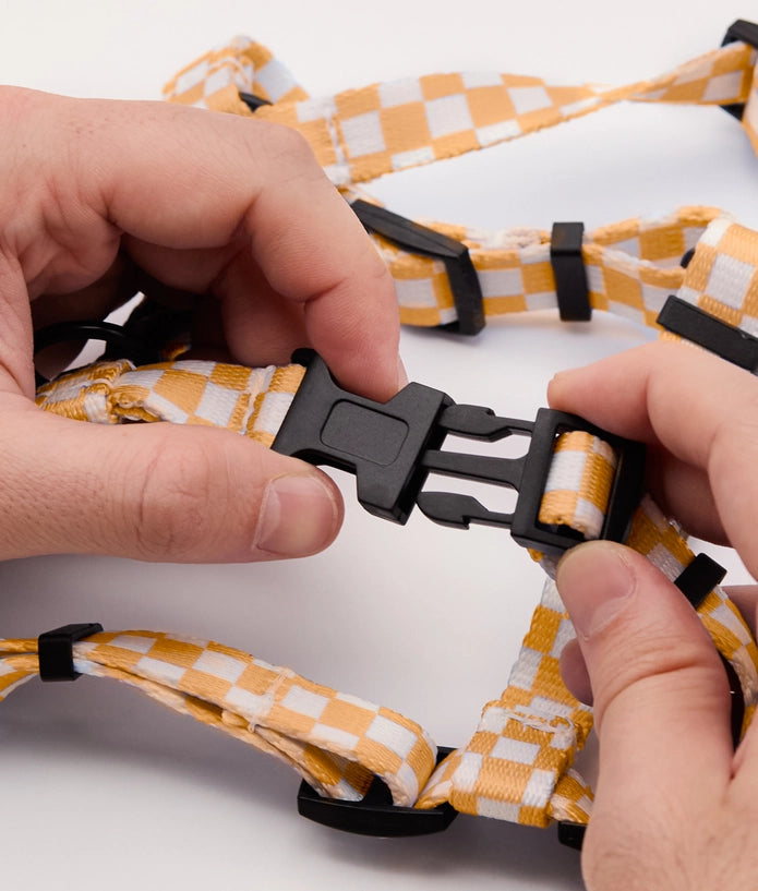 Harnais Damier Orange