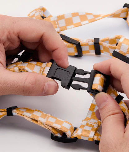 Harnais Damier Orange