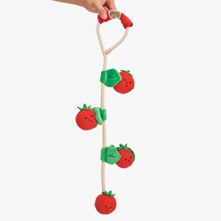 Cherry Tomato