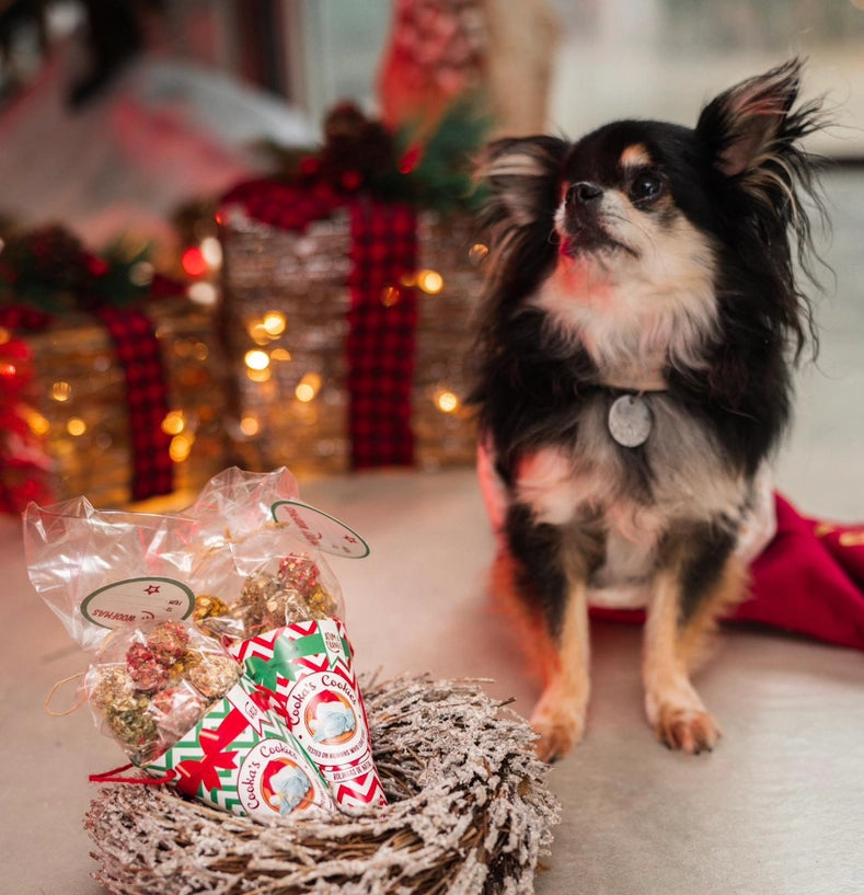 Boules de Noël - Poulet &amp; Thon