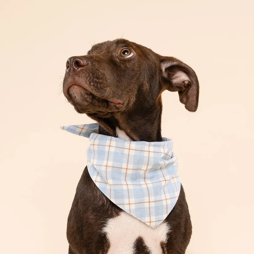 Bandana Harlowe