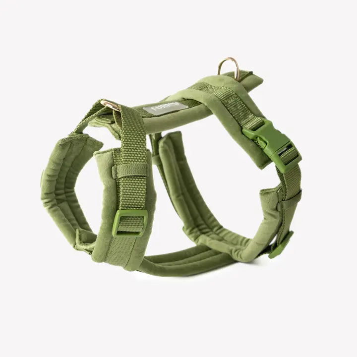 Harnais Velvet - Green