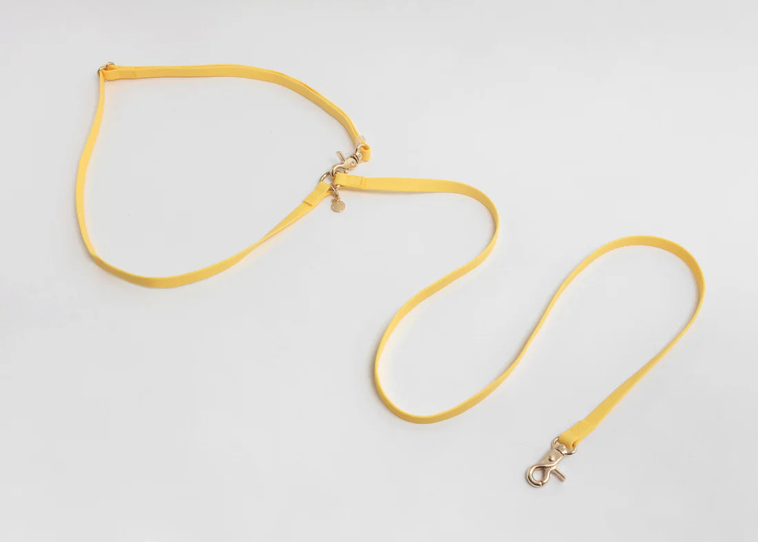 Laisse Mains Libres ajustable - Jaune
