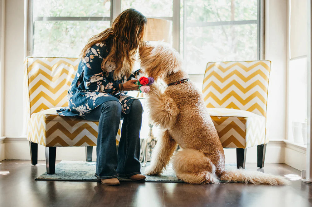 Puppy Love
