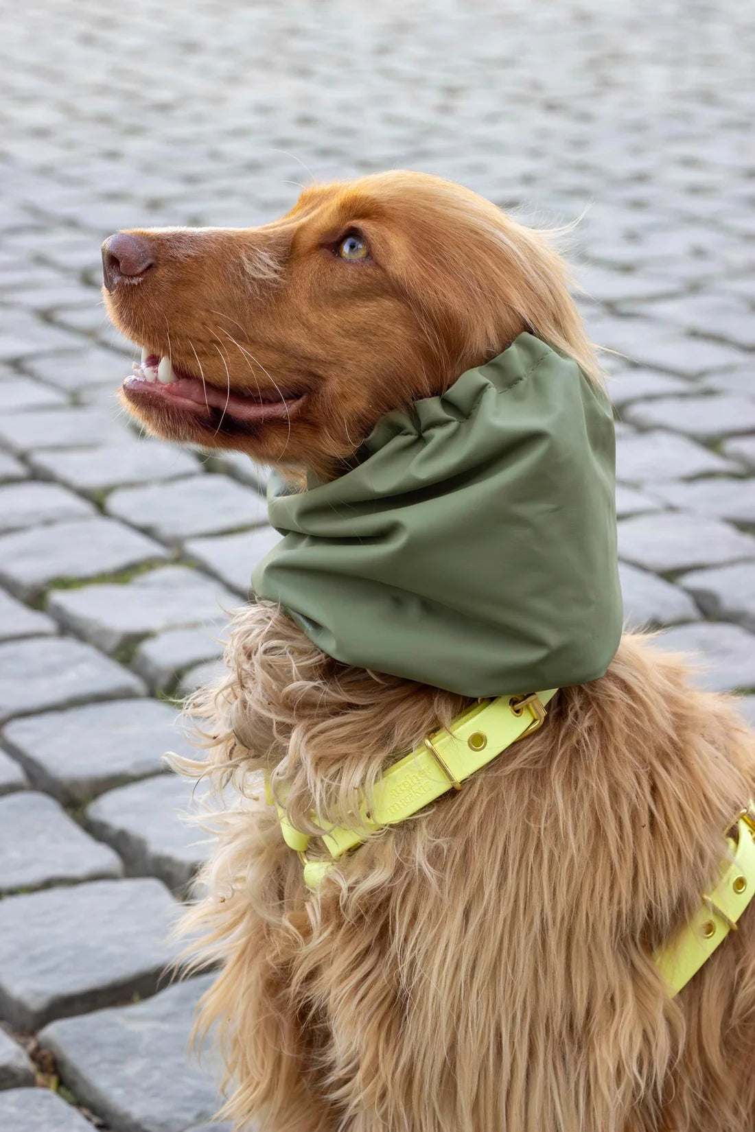 Snood Harris - imperméable
