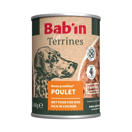 Terrine Poulet
