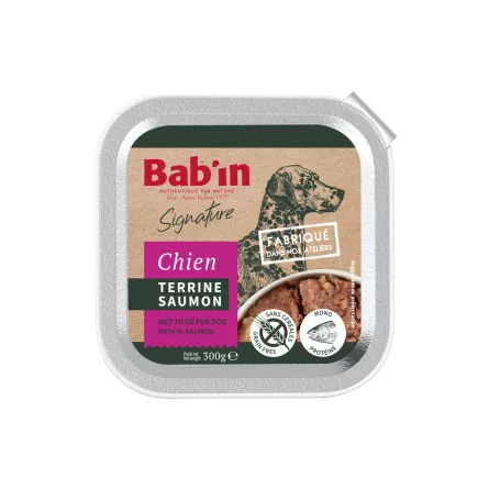 Terrine Saumon