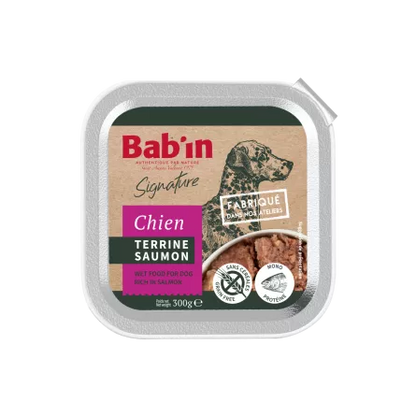 Terrine Saumon