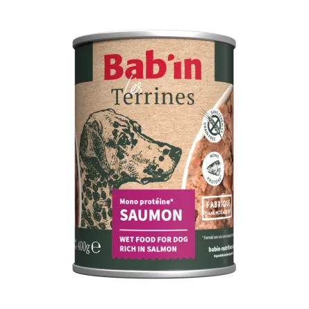 Terrine Saumon
