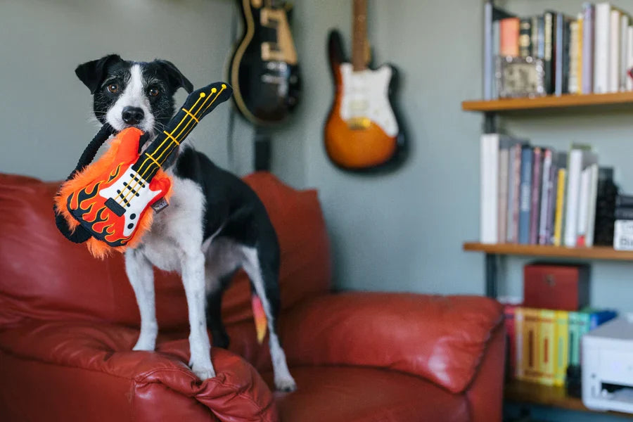 La Guitare